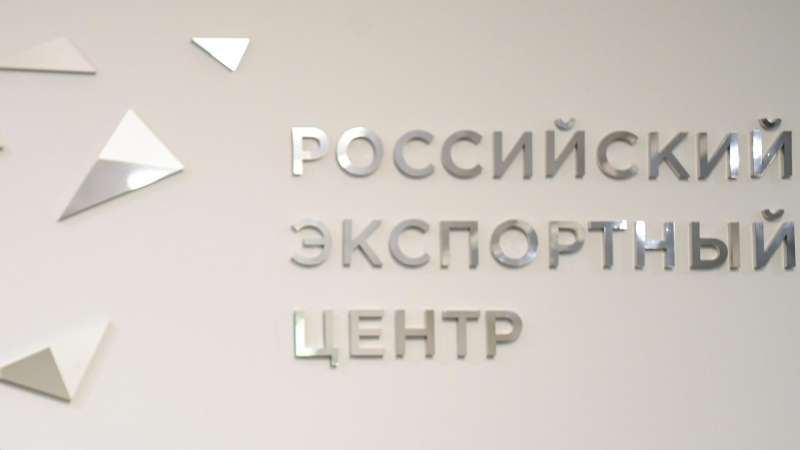 Аналитики РЭЦ проведут для экспортеров вебинар по бизнес-моделированию
